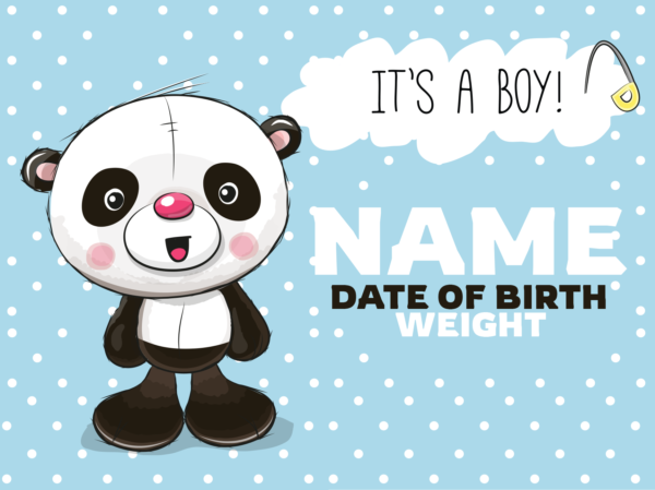 Baby-Boy-Blue-Panda-Template-1_24x18-yard-NEW#0001