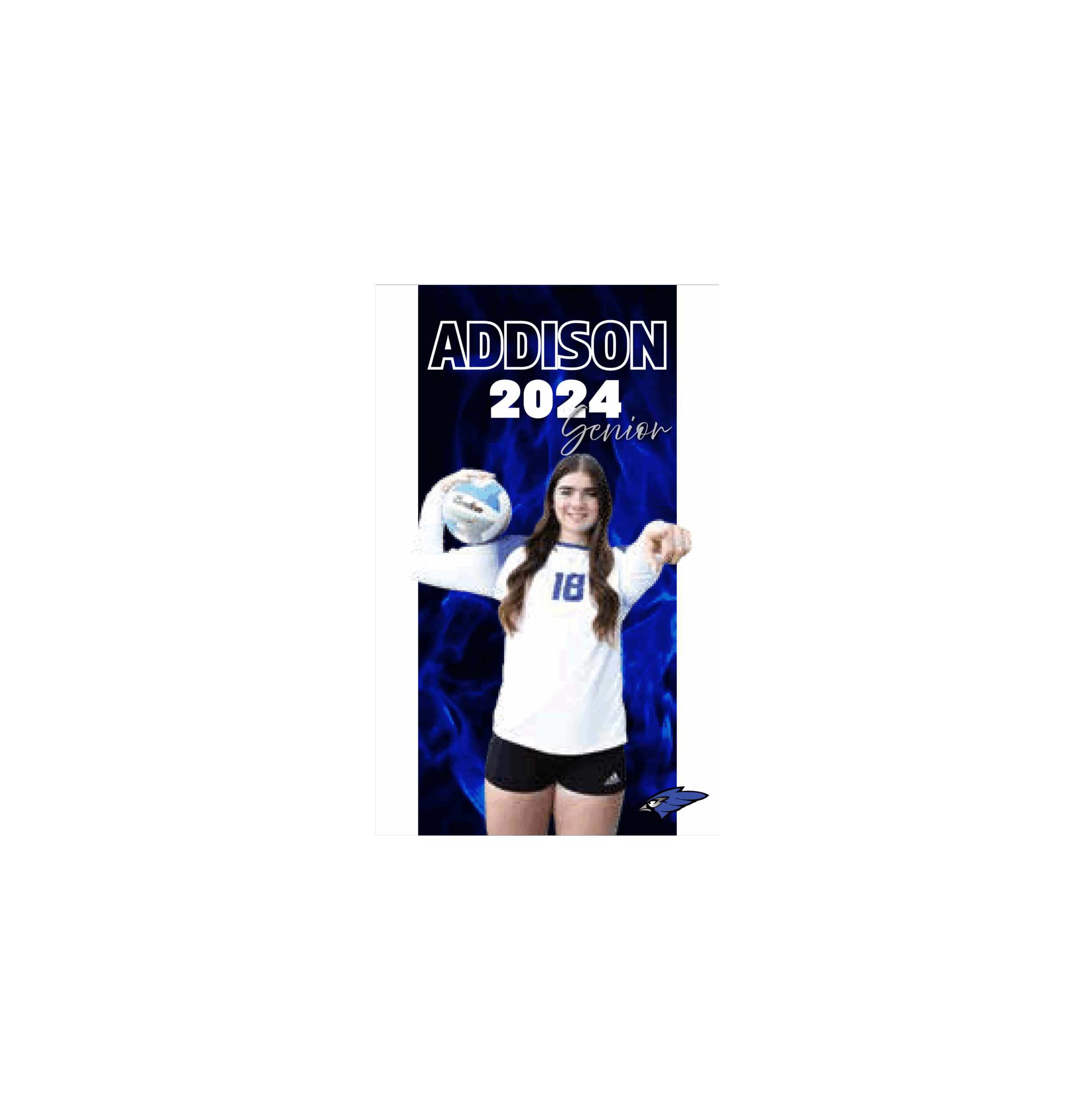 senior individual banner2